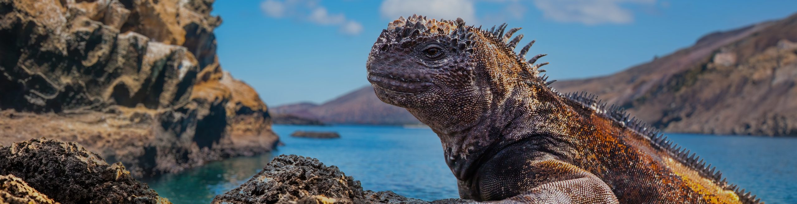 galapagos-islands